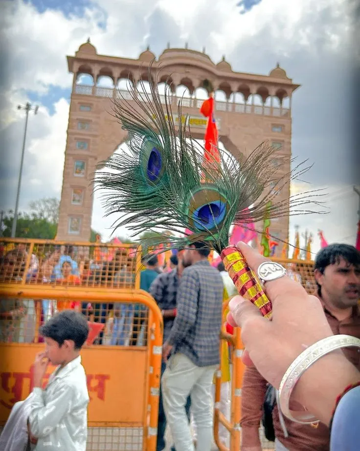 Toran Dwar Khatu Shyam ji