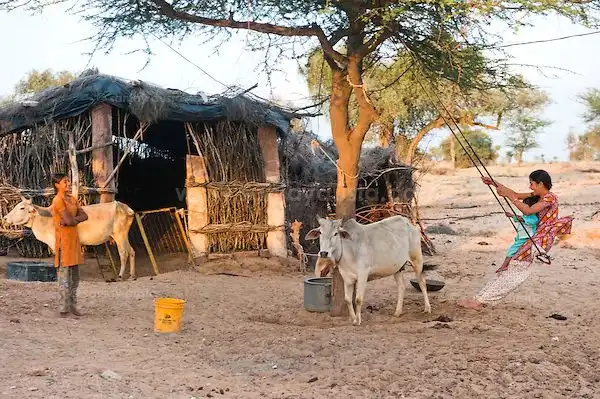 Bishnoi Village Safari